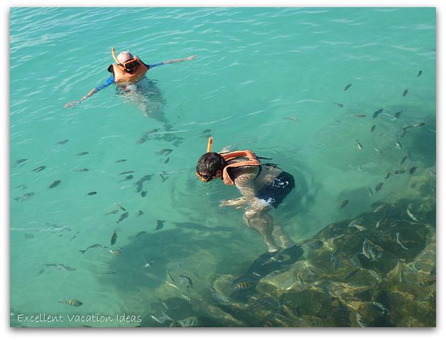 Snorkeling at Princess Cays Bahamas