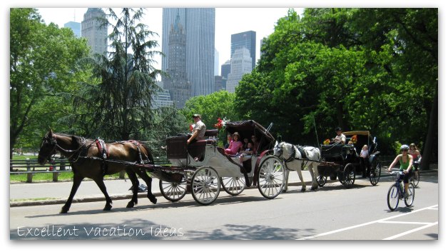 NYC Neighborhoods - Central Park