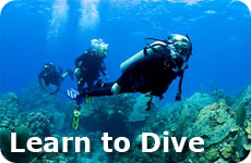 Vacation with kids, Learn to Dive