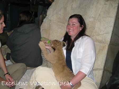 MGM Las Vegas - Me with a lion cub - Lucky!