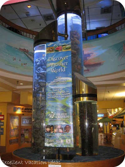 St Petersburg Florida Attractions Aquarium