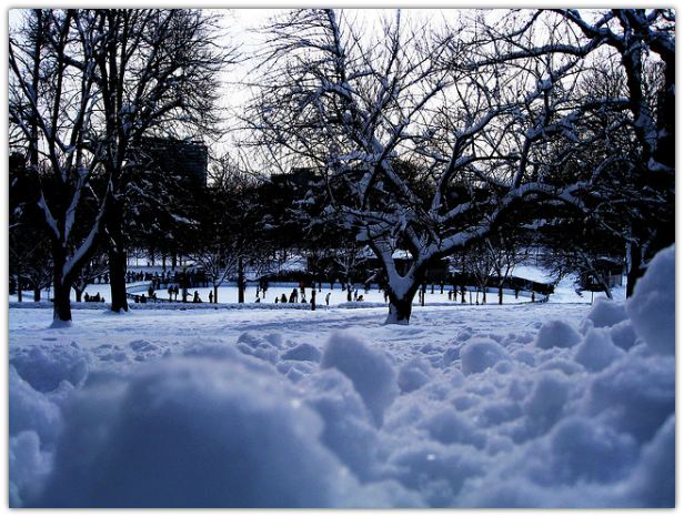 Romantic Things to Do in Boston - Frog Pond