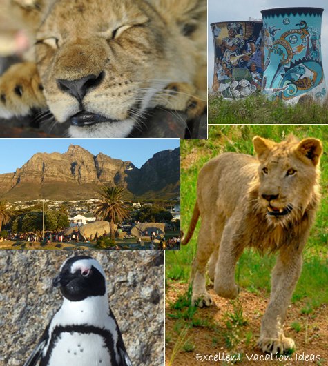 Vacation in South Africa collage