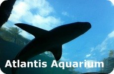 Atlantis Aquarium