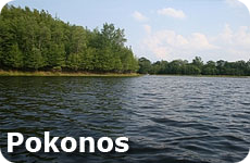 Games for a Road Trip