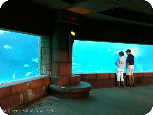 Atlantis Aquarium