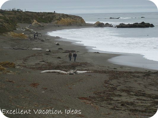 Best Beaches in the World