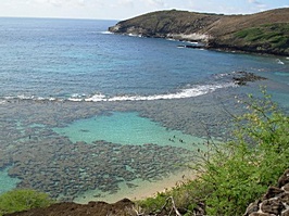 Pictures of Maui, Vacation Ideas