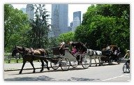 World Travel Guide - New York City