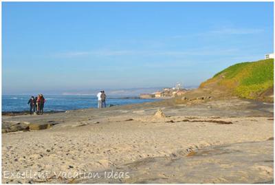 Click to see more about the La Jolla Beach!