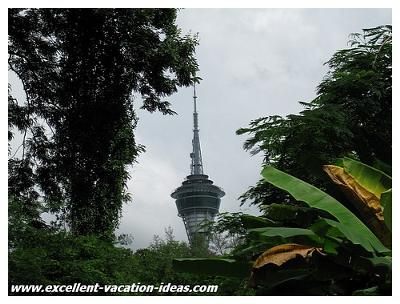 Macau Tower peaking through the trees