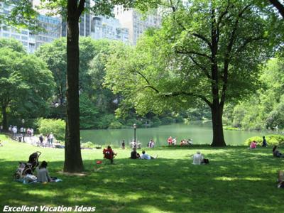 Beautiful Day in Central Park