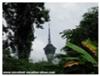 Macau Tower peaking through the trees